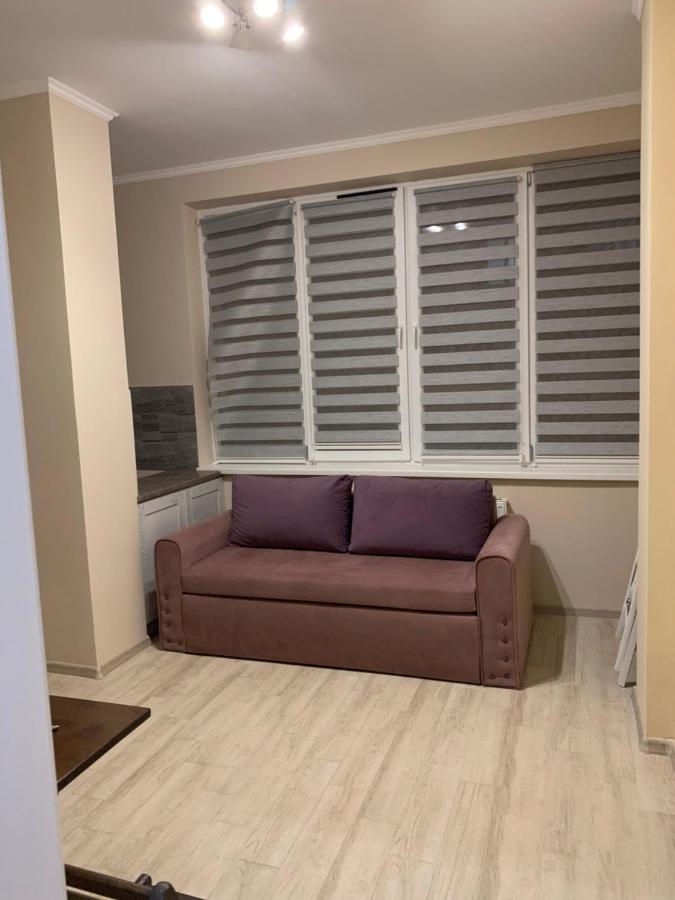 Срібний Дім Apartments Truskavets Dış mekan fotoğraf